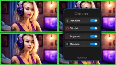 Webcam work - multistream